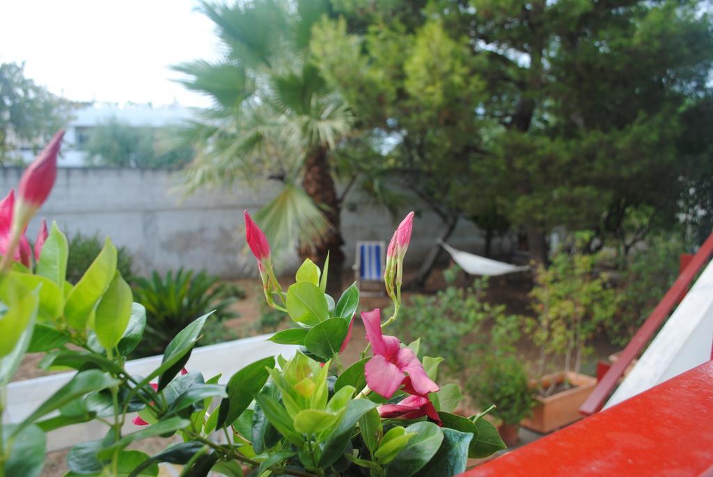 Bed and breakfast Annavi *